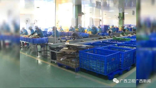 雙十一掀起年底消費熱潮，食品銷售表現亮眼